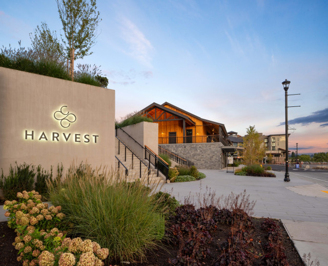 The Yard at Harvest image: Harvest (7)